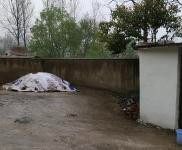 (出租) 信陽浉河金牛產(chǎn)業(yè)集聚區(qū)房屋倉庫大院租賃