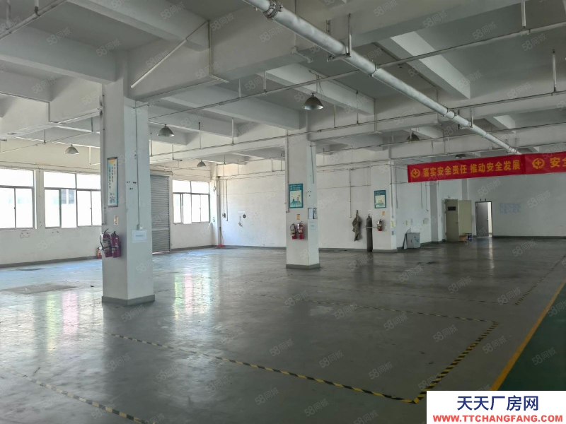 (出租) 河源紫金臨江6000平方廠房倉庫免租6個月可做焙烤行業