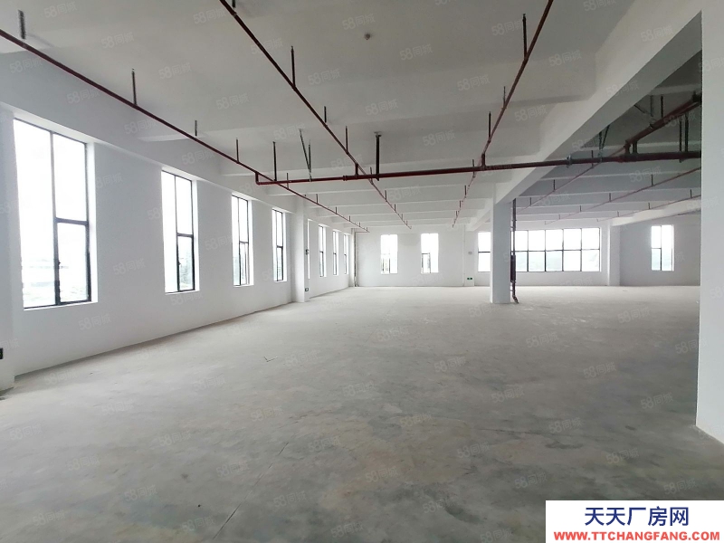 (出租) 河源紫金江東新區工業園區廠房適合設備制造