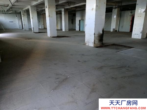 銀川市金鳳物資倉庫  庫房，平房（帶院子），辦公室出租！