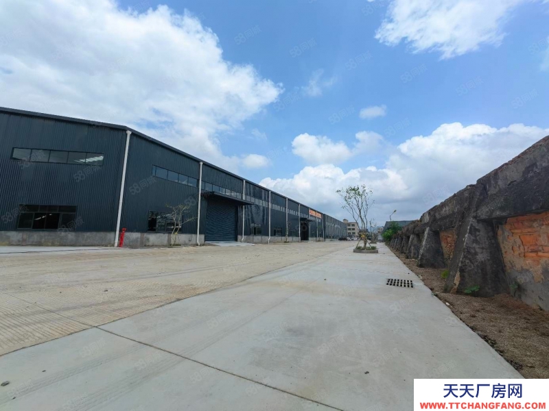 (出租) 河源連平不限行業低價廠房出租5000平方10米高獨院鋼構廠房出租