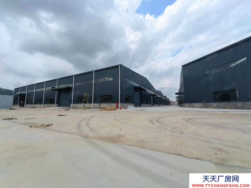 (出租) 河源連平不限行業低價廠房出租5000平方10米高獨院鋼構廠房出租