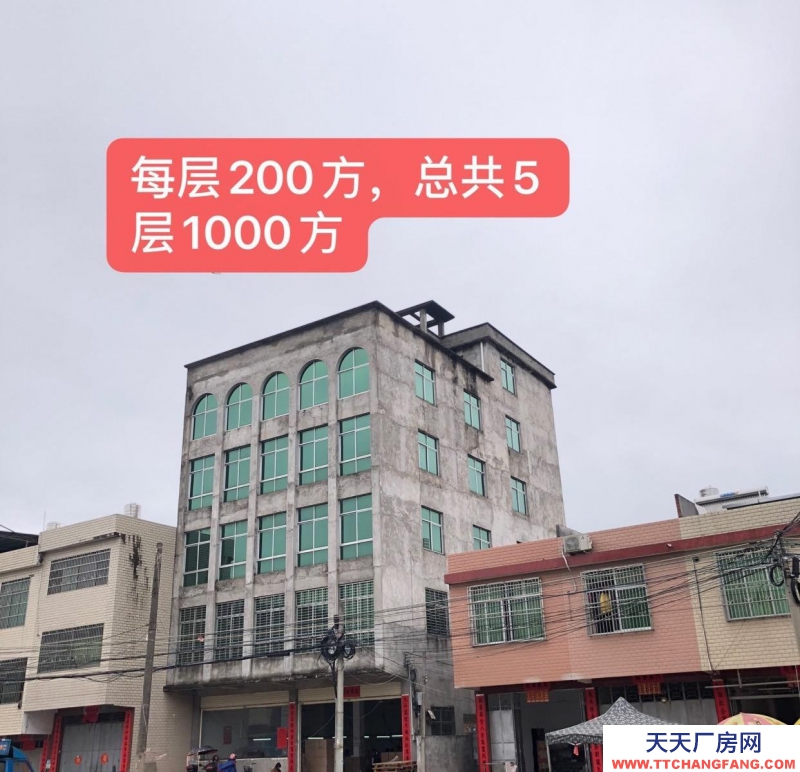 (出租) 源連平縣油溪鎮人民政府旁可做醬菜加工