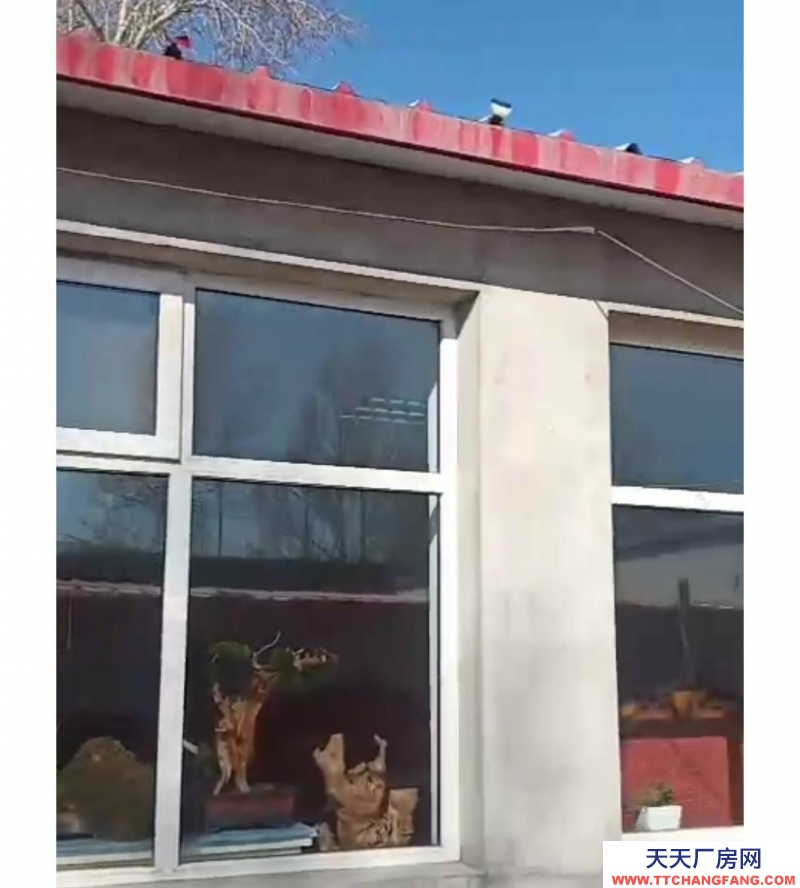 張家口 張北縣  (出租) 緊挨南山公園，空氣新鮮，出進方便，干凈利落。