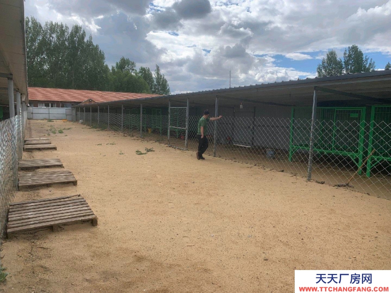 張家口 張北縣  (出租) 有房屋23間，水電方便，可搞養(yǎng)殖也可開敬老院