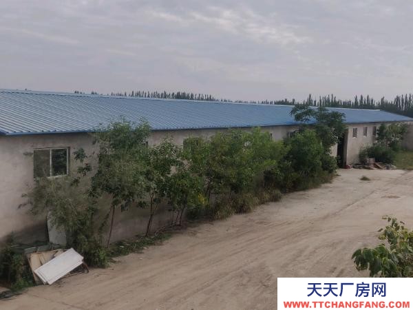 銀川市興慶機加工廠房 掌政鎮。廠房出租，水電齊全，帶住房，隨時可看房