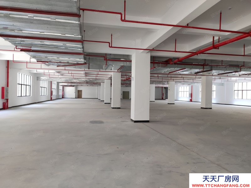 (出租)河源東源廠房倉(cāng)庫(kù)出租2000平500平起分租不限行業(yè)好招工適合五金電子