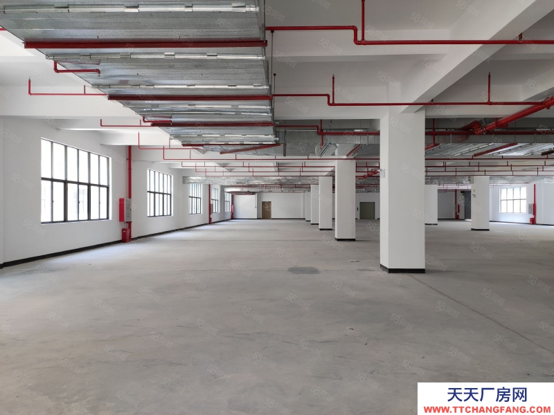 (出租)河源東源廠房倉(cāng)庫(kù)出租2000平500平起分租不限行業(yè)好招工適合五金電子