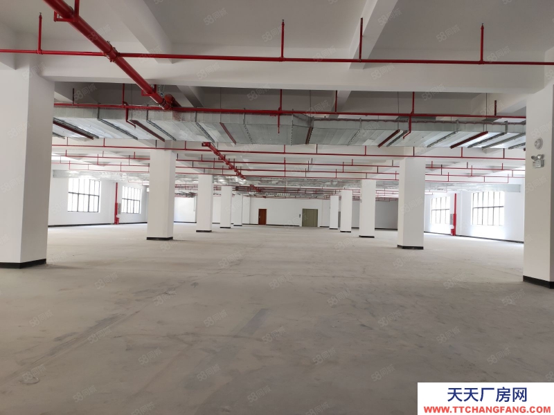 (出租)河源東源廠房倉(cāng)庫(kù)出租2000平500平起分租不限行業(yè)好招工適合五金電子