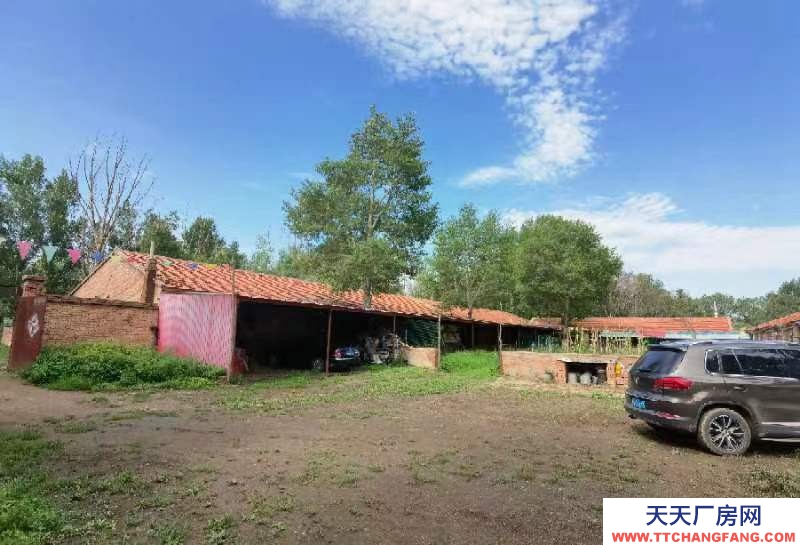 張家口 沽源 (出租) 大型養殖場，手續齊全！