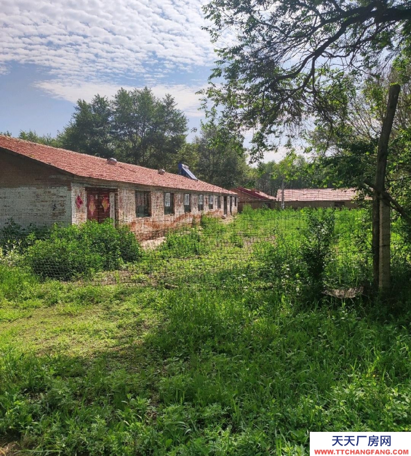 張家口 沽源 (出租) 大型養殖場，手續齊全！