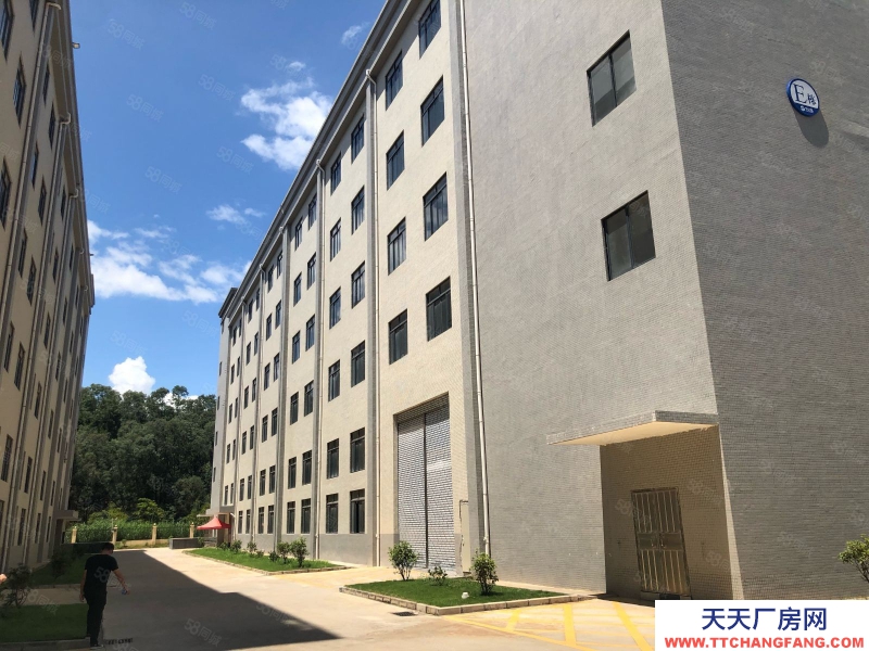 (出租) 河源市東源縣徐洞工業區新出花園式20000平米標準廠房可做飲料行業