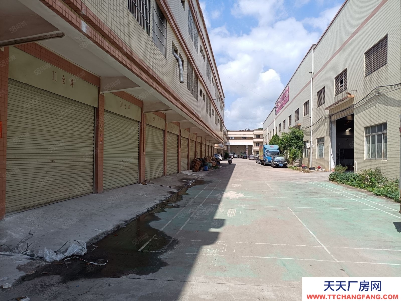 (出租) 河源東源縣仙塘鎮主干道旁,層高12米鋼構廠房出租,適合家具建材