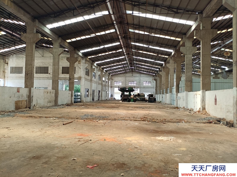 (出租) 河源東源縣仙塘鎮主干道旁,層高12米鋼構廠房出租,適合家具建材