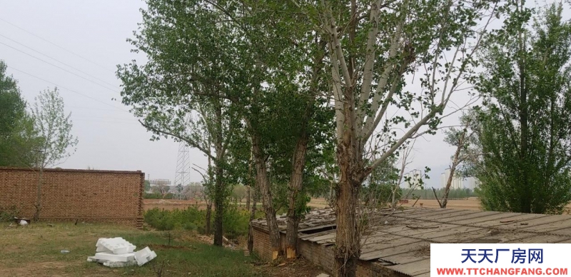 張家口 蔚縣 (出租) 蔚縣縣城附近七畝大院出租。