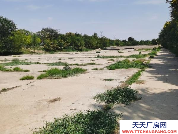 銀川市興慶機加工廠房 場地大，適合放各種大件交通方便