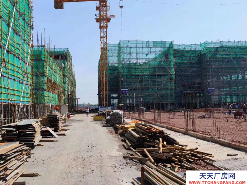 金華市磐安(出售) 兩證齊全，50年產(chǎn)權(quán)，標(biāo)準(zhǔn)廠房，獨(dú)棟出售 智能家具