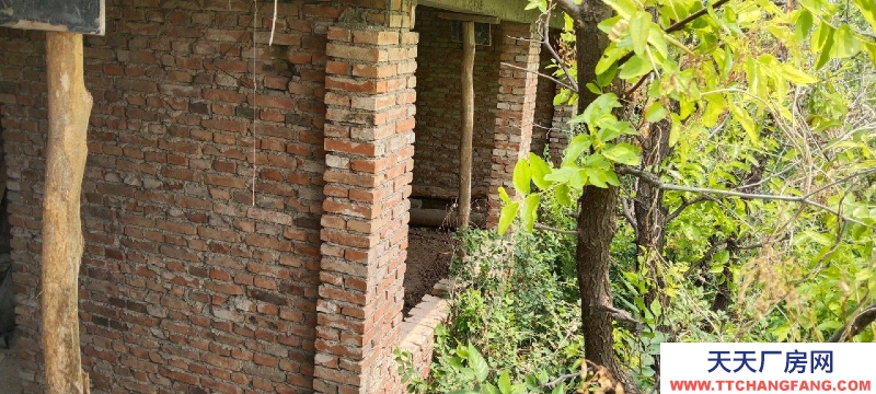 張家口 懷來 (出售) 宗家洼村4間平房大院一處宅可養殖