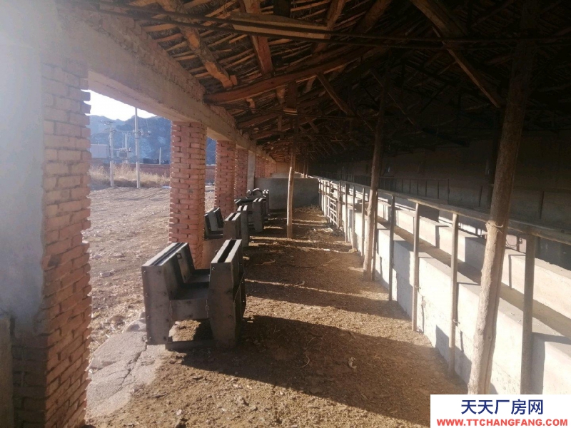 張家口 赤城(出租) 2022牛場(chǎng)出租，養(yǎng)殖廠