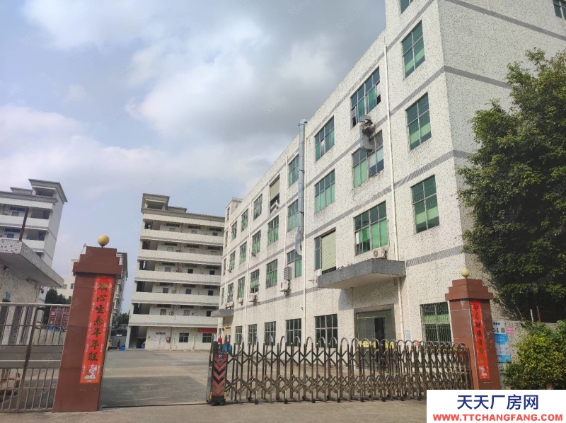 (出租) 河源東源低價出租6000平方村委獨院廠房出租可分租適合五金加工