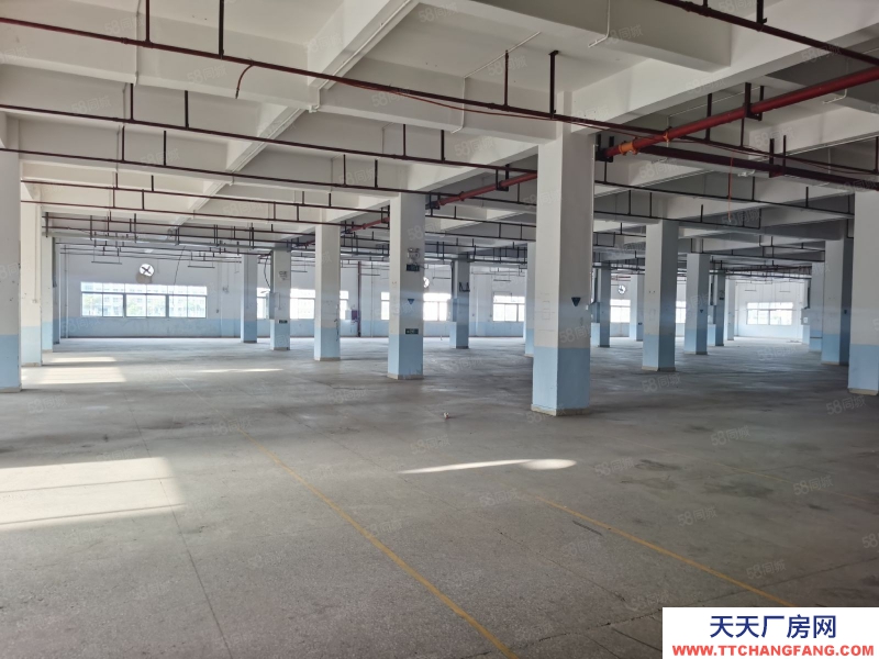 (出租) 河源東源縣徐洞工業(yè)區(qū)原房東標準廠房4000獨棟廠房出租可分租適合有污染行業(yè)