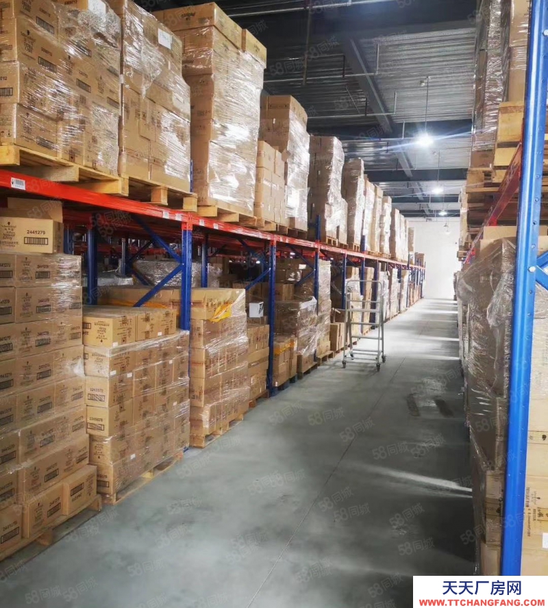 (出租) 河源源城一千平方倉庫出租，可分租可做小工廠