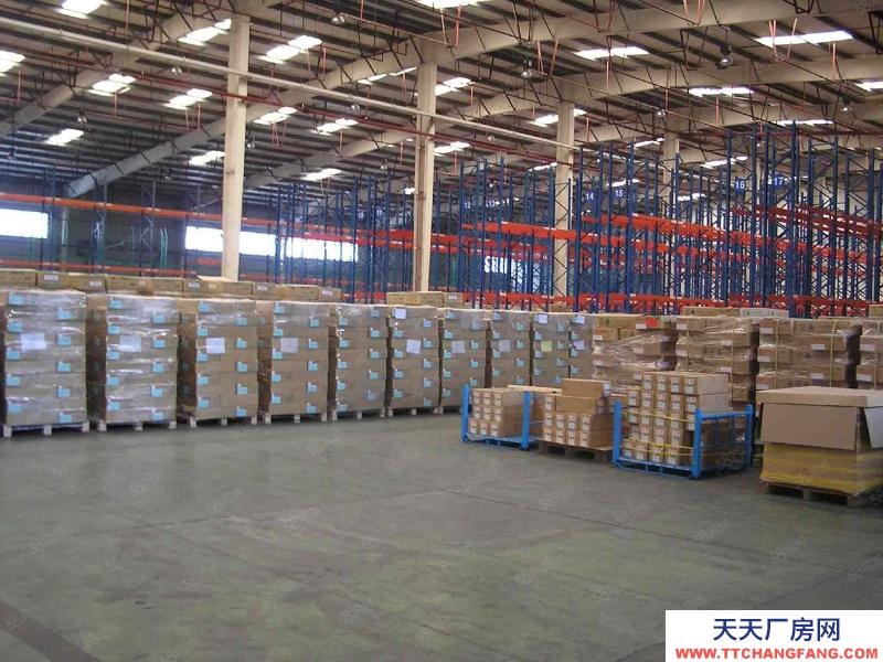 (出租) 河源源城高新區物流區 專業物流倉庫出租