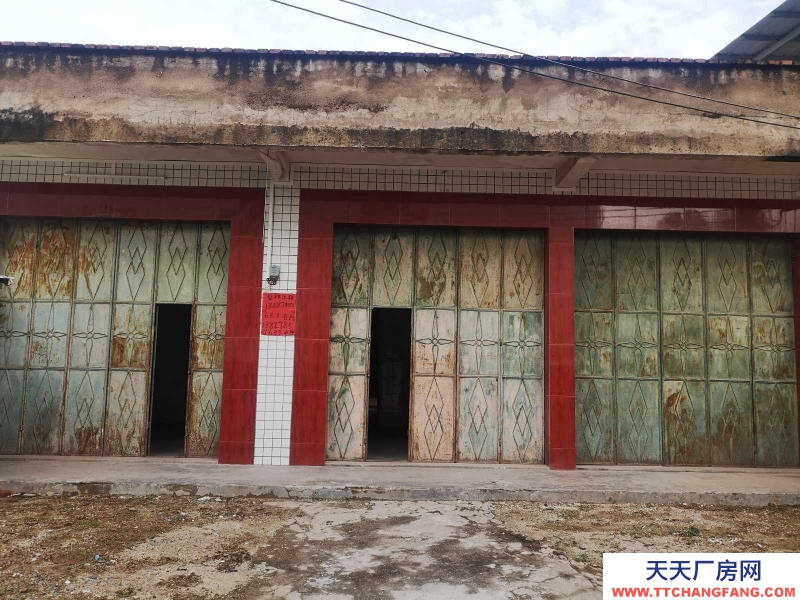 (出租) 河源源城城南高速欖壩村道旁300平方一層樓房可做倉庫物流家住