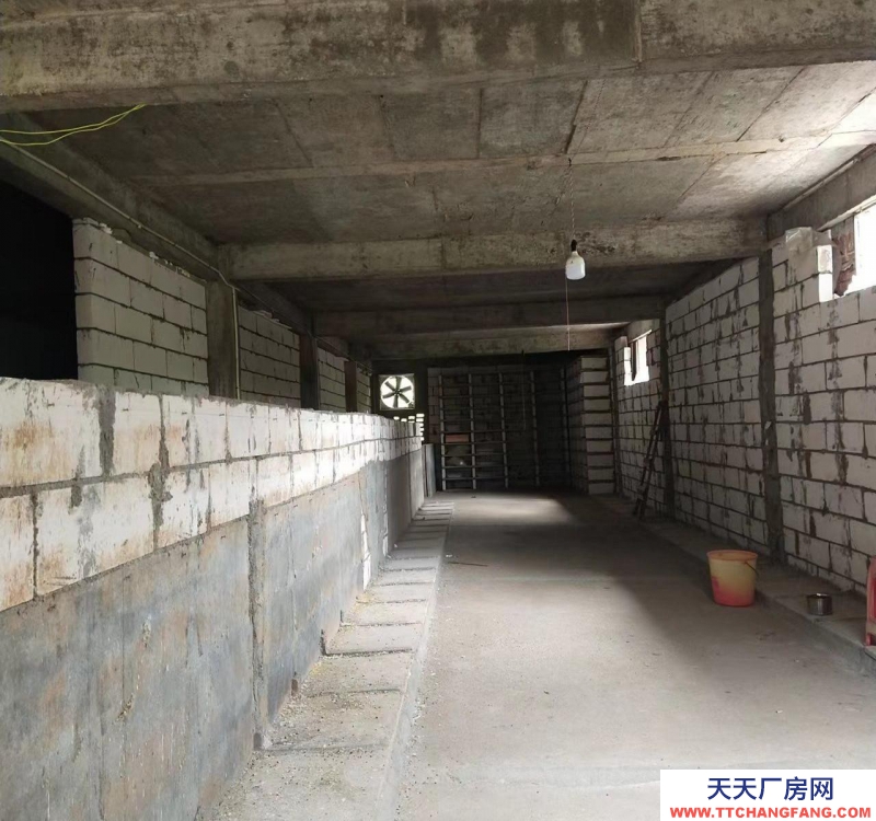 (出租) 河源源城倉庫離村道300米，附三房一廳住房，可做加工廠，養殖場