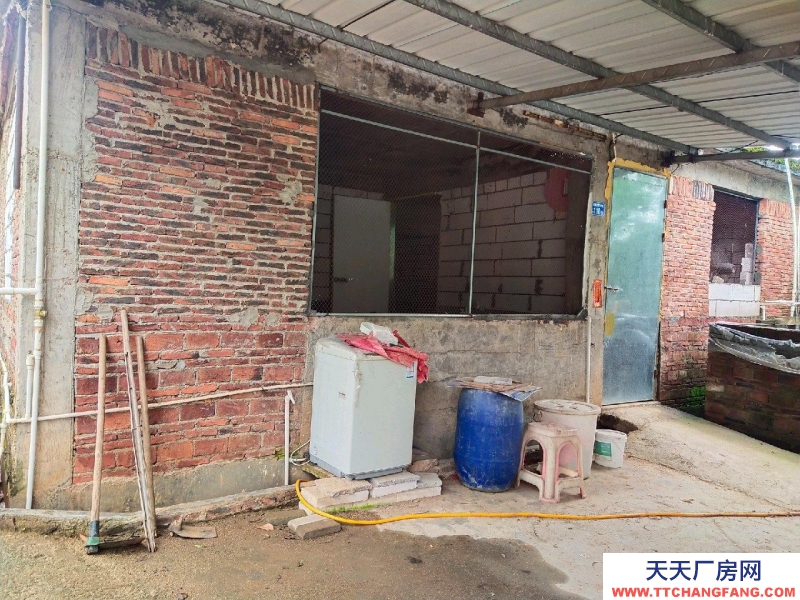 (出租) 河源源城倉庫離村道300米，附三房一廳住房，可做加工廠，養殖場
