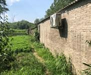 (出租) 信陽新縣可用于養殖，加工廠，農家莊園