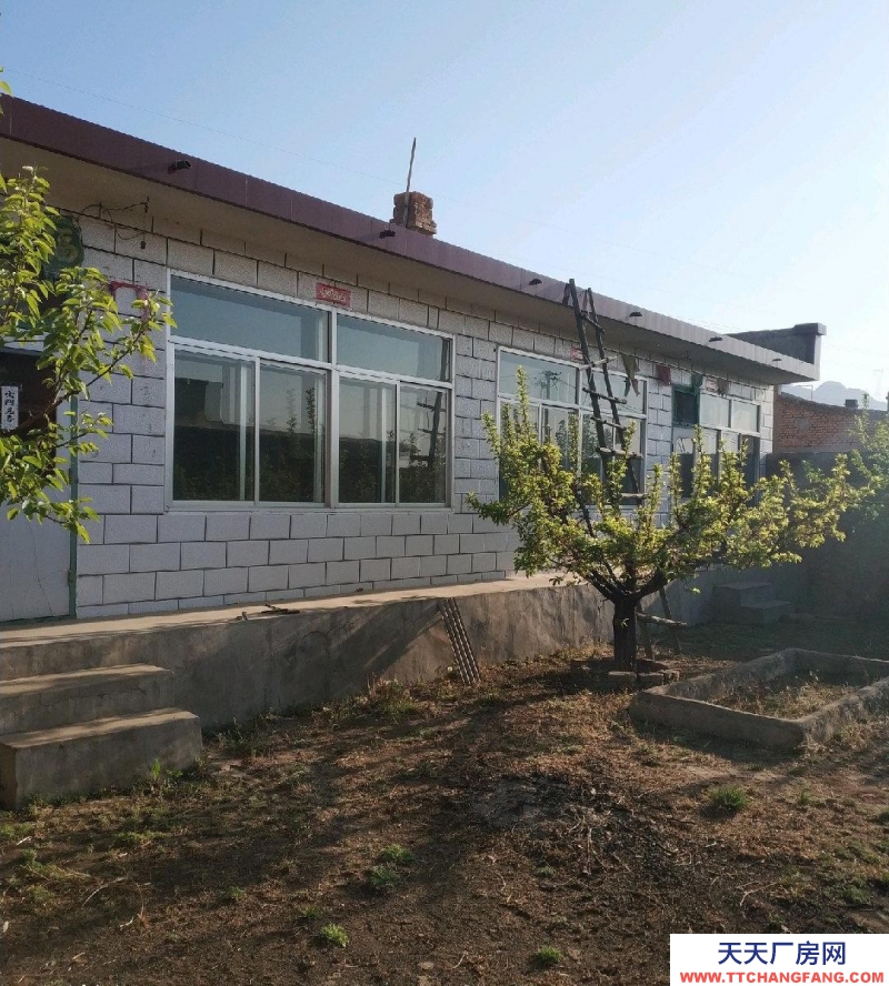 (出售) 東河區莎木佳村半畝地，，養殖優選