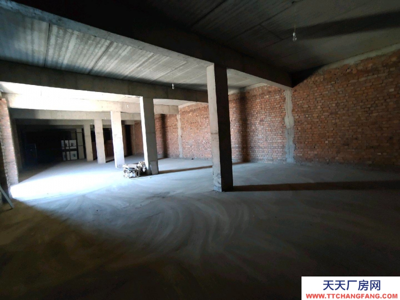 (出租) 紅星美凱龍層高4米 庫房 100到800平