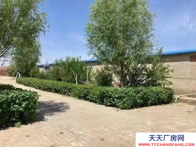 (出租) 包頭魔芋廠小白河廠房大院出租出售風景秀麗環境優雅空氣清新