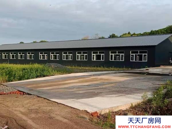 五常養(yǎng)豬場(chǎng)，（全新豬場(chǎng)）