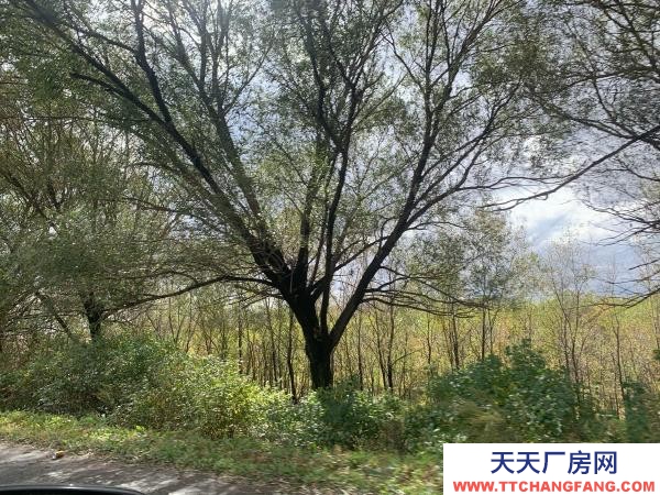 五常市萬寶山村養(yǎng)殖廠房出售