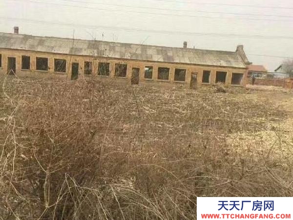 五常市紅旗鄉(xiāng)東城子村飼料加工廠房