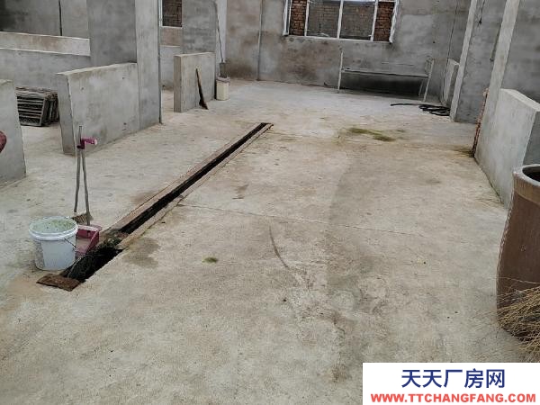 龍沙急急急急，低價(jià)出租，可當(dāng)養(yǎng)殖和倉(cāng)庫，非誠(chéng)勿擾