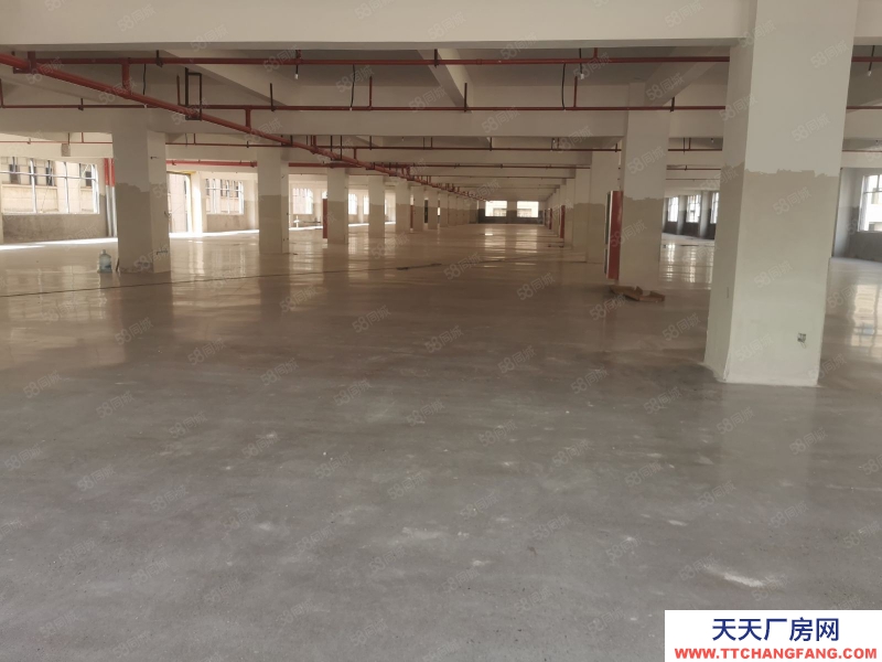 金華市東陽(出租) 畫水上塢工業區標準廠房5樓各3450平價格120一年