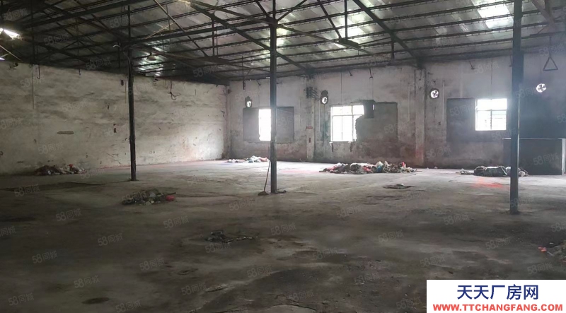 (出租) 陽江江城新國道舊廠房，可以入大車，總面積3000平方，適合物流