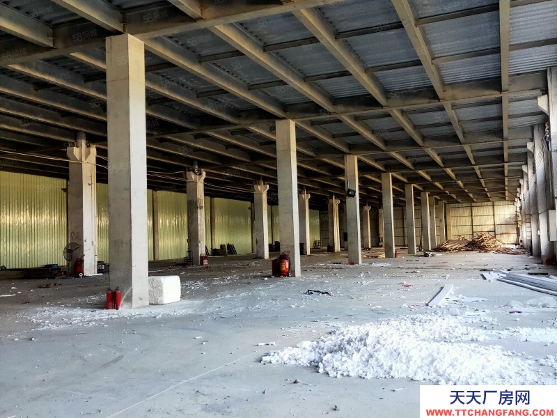 (出租) 陽江江城廠房高架橋附近可以獨立廠房適合預制菜