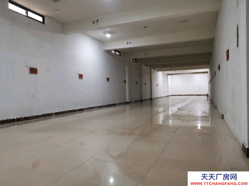 金華市東陽(出租) 地下室岀租，位置佳，2噸電梯。