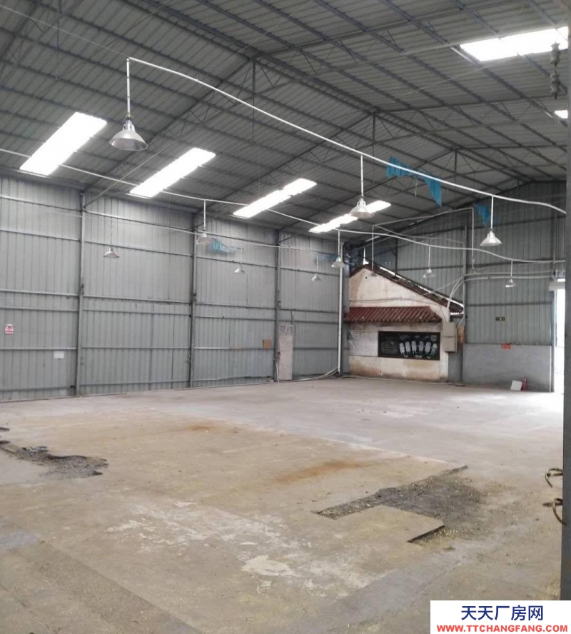 金華市東陽(出租) 橫店夢上海附近700平米倉庫，交通便利