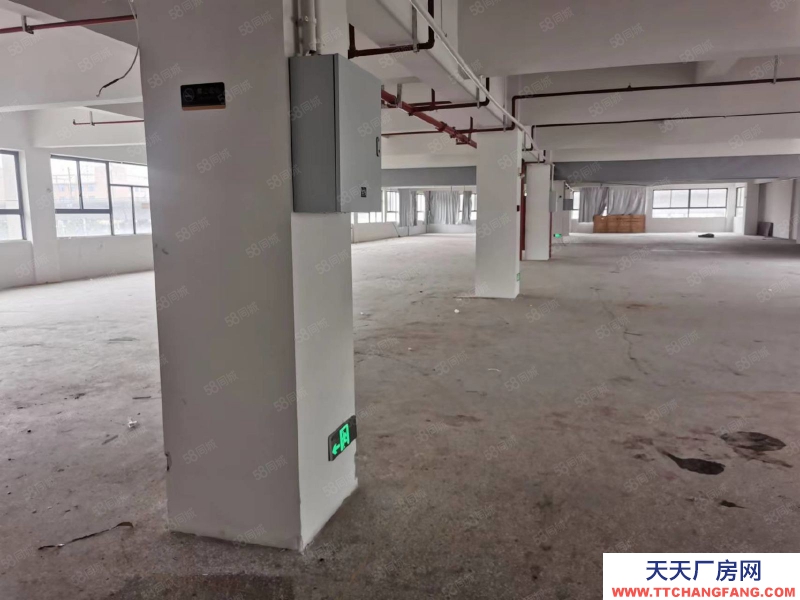 金華市東陽(出售) 東陽全新廠房出售，1000平起售首付2成帶食堂宿舍交通方便
