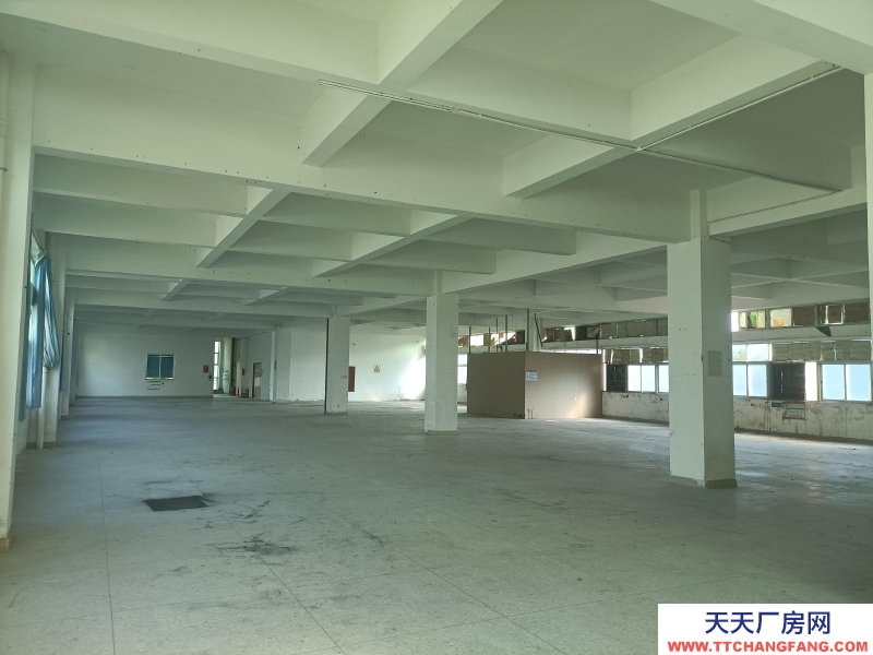 (出租) 陽(yáng)江陽(yáng)西標(biāo)準(zhǔn)三層廠房適合電子加工