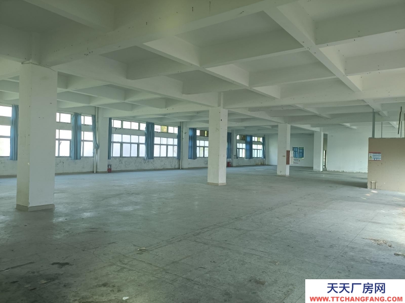 (出租) 陽江陽西標準三層廠房適合電子加工
