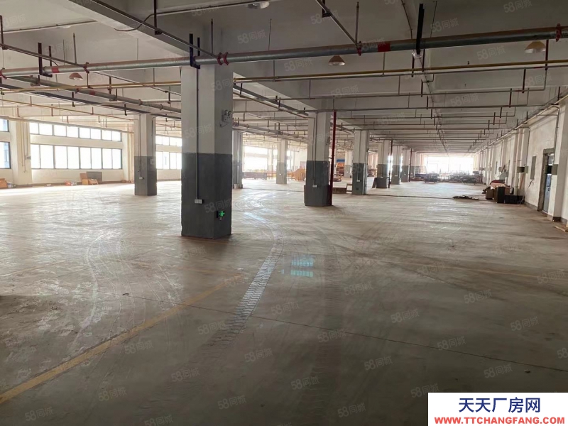 金華市東陽(出售) 全新廠房出售，面積1000平起均價2702成帶食堂宿舍