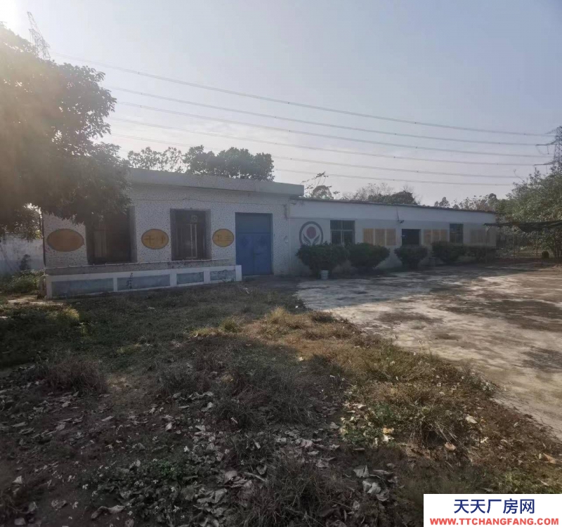 (出租) 陽江陽西求整租,有圍墻保安亭,臨近高鐵站高速口國道適合機械加工