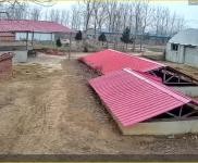 (出售) 信陽固始一個牛圈一個羊圈一個雞舍，兩套農宅