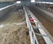 (出售) 信陽固始一個牛圈一個羊圈一個雞舍，兩套農(nóng)宅